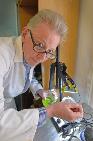 Neil Roberts checks on an algae strain