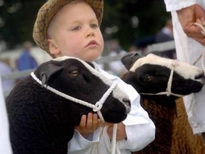 Supporting image for story: Families flock to county for fun events