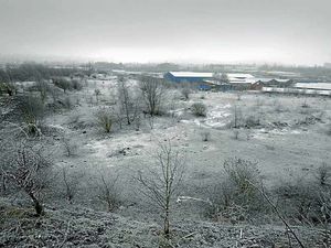 Supporting image for story: Action call on stray horses at former Tipton landfill site