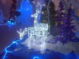 Supporting image for story: Shrewsbury’s Darwin and Pride Hill shopping centres announce Christmas opening hours