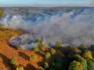 Supporting image for story: Firefighters still battling large blaze on Cannock Chase