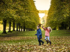 Supporting image for story: Warmest autumn on record for Northern Ireland and third mildest across UK