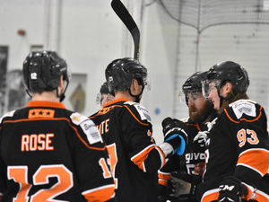 Supporting image for story: Watkins warns of vital spell for Telford Tigers