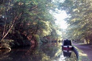 Supporting image for story