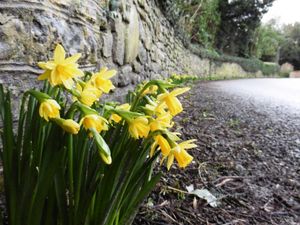 Supporting image for story: 'Warmest day of the year' as February temperatures hit 10C above normal