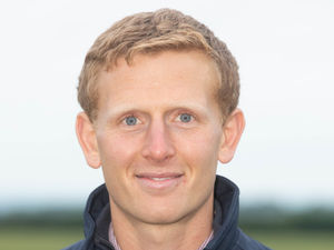 Supporting image for story: New BASIS trainee membership scheme 