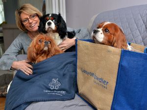 Supporting image for story: Doggies bag comfy treats as staff thanked for home working