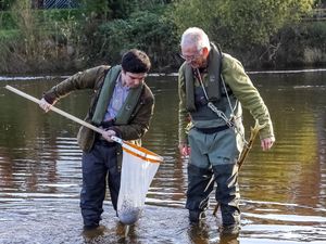 Supporting image for story: MP welcomes government's water quality announcement as Shrewsbury residents keep up the pressure on river Severn pollution
