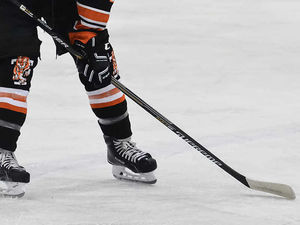 Supporting image for story: Macauley Halford back at Telford Tigers in pre-deadline move