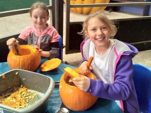 Supporting image for story: Pumpkins galore, without the gore!