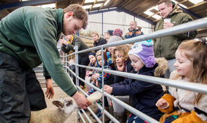 New Life at the Farm