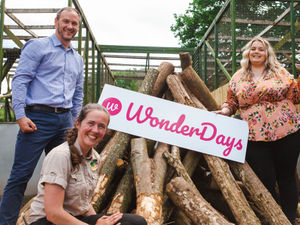 Supporting image for story: Shropshire experience day company WonderDays celebrates successful launch