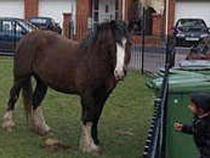 Supporting image for story: The week in pictures