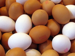 Supporting image for story: Village steps up egg farm planning fight