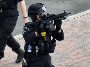 Supporting image for story