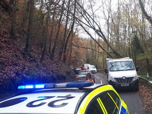 Supporting image for story: Fallen tree causes rush hour delays in south Shropshire