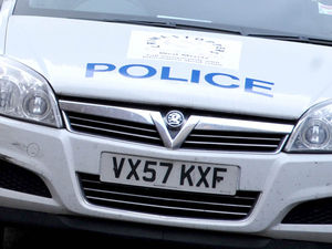 Supporting image for story: Farmers warned after cow stolen near Oswestry