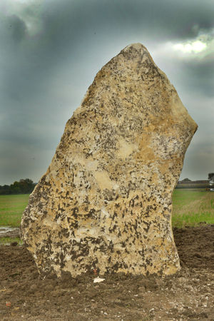 The limestone monoliths that will mark the path to Shropshire's first long barrow in 5,000 years