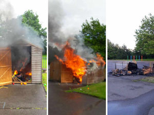 Supporting image for story: Arsonists raze primary school sheds in latest shocking attack