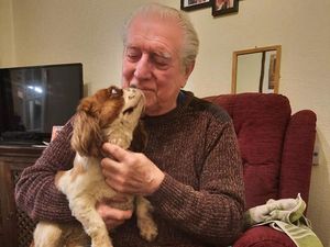 Supporting image for story: Delight as pensioner's stolen spaniel found safe after three weeks missing