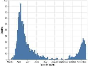 Supporting image for story: Another 41 coronavirus deaths at hospitals in the Black Country, Birmingham and Staffordshire