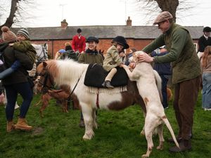 Supporting image for story: In Pictures: Crowds out in force for Boxing Day sales, swims, hunts and races