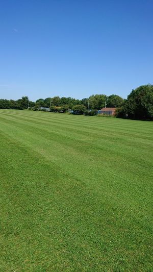 grass-cutting skills from Jimmy The Mower