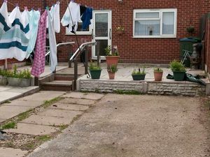 Supporting image for story: Police in clear after boy, 11, bitten by dog