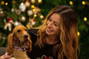 The Dog House returns on the 18th December with a new Christmas episode