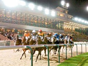 Supporting image for story: Wolverhampton Racecourse owners unveil plans to build greyhound track