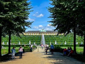 Supporting image for story: Germany’s Sanssouci Park seeks solutions as trees struggle with climate change