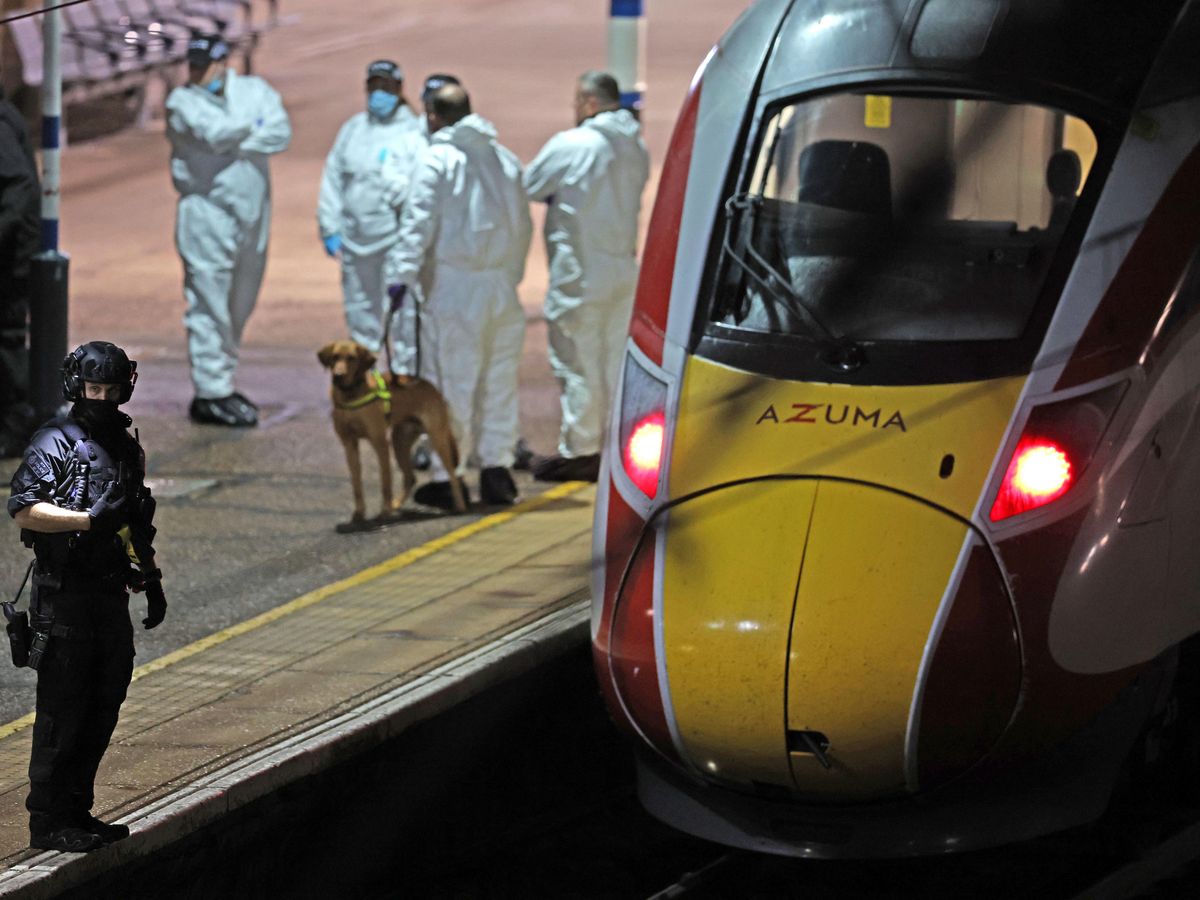 Train hero fights for life as knife attack suspect remains in police custody