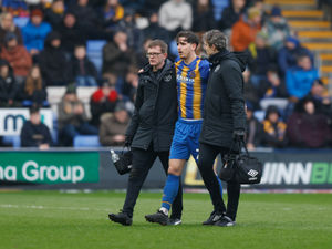Supporting image for story: Tom Bayliss battling for Shrewsbury fitness 