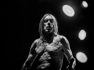 Supporting image for story: Iggy Pop to play one-off outdoor show with Blondie and punk supergroup