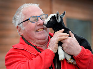 Supporting image for story: Pint-sized pygmy arrives at zoo