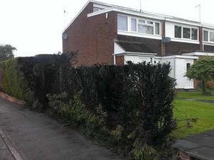 Supporting image for story: Arsonists destroy bench in Midland blaze spate