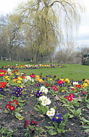 Brunswick Park will enjoy a birthday bash