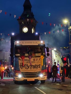 The night-time parade was also spectacular. Image by Bev Baynham