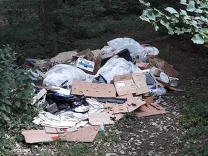 Supporting image for story: Forest rangers slam 'dangerous' fly-tippers at beauty spot