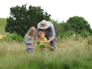 The area is popular with tourists