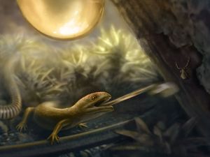 Supporting image for story: Oldest evidence of slingshot-style tongue seen in 99m-year-old amphibians