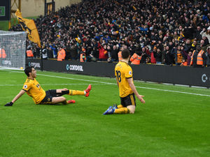 Supporting image for story: Wolves Fans' Verdict v Leicester: What a wonderful win!