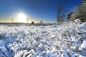 Barr Beacon. Photo: Tim Thursfield