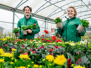 Supporting image for story: Three green-fingered community projects hoping to get backing from Telford residents