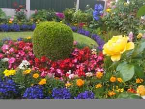 Supporting image for story: Last chance to enter fabulous floral displays in Shrewsbury 'town of flowers' contest