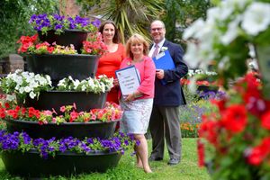 Halesowen in Bloom displays have been attracting competition judges over recent years