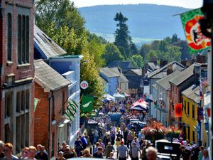 Supporting image for story: Bishop's Castle festivals organisers quit due to huge workloads