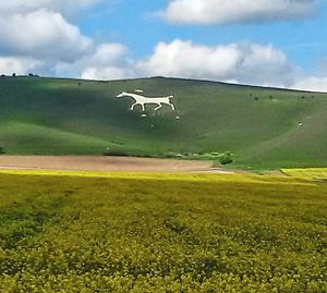 The Alton Barnes White Horse carved into the hillside