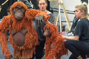 Supporting image for story: Animal magic coming to Wolverhampton with rehearsals under way for puppet show
