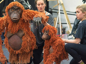 Supporting image for story: Animal magic coming to Wolverhampton with rehearsals under way for puppet show